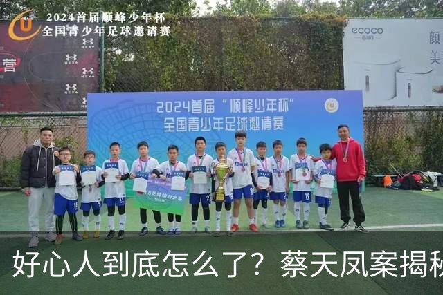 好心人到底怎么了？蔡天凤案揭秘惊人内幕！